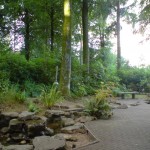 Stream by Rangers Lodge