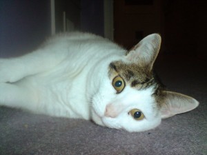 Zoe (2000 - 2009)